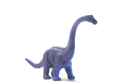 Purple Dinosaur, Diplodocus